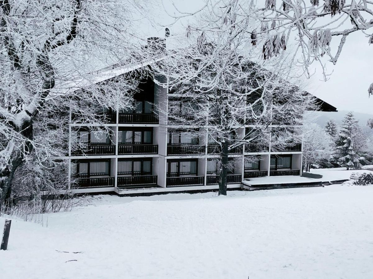 Winterwohnung Almberg Mitterfirmiansreut Εξωτερικό φωτογραφία