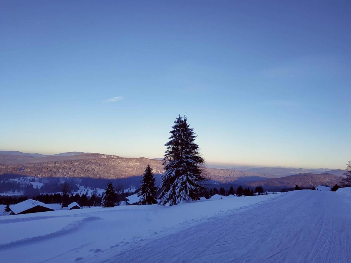 Winterwohnung Almberg Mitterfirmiansreut Εξωτερικό φωτογραφία