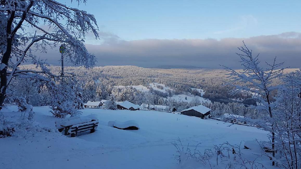 Winterwohnung Almberg Mitterfirmiansreut Εξωτερικό φωτογραφία
